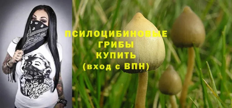 Галлюциногенные грибы MAGIC MUSHROOMS  Менделеевск 